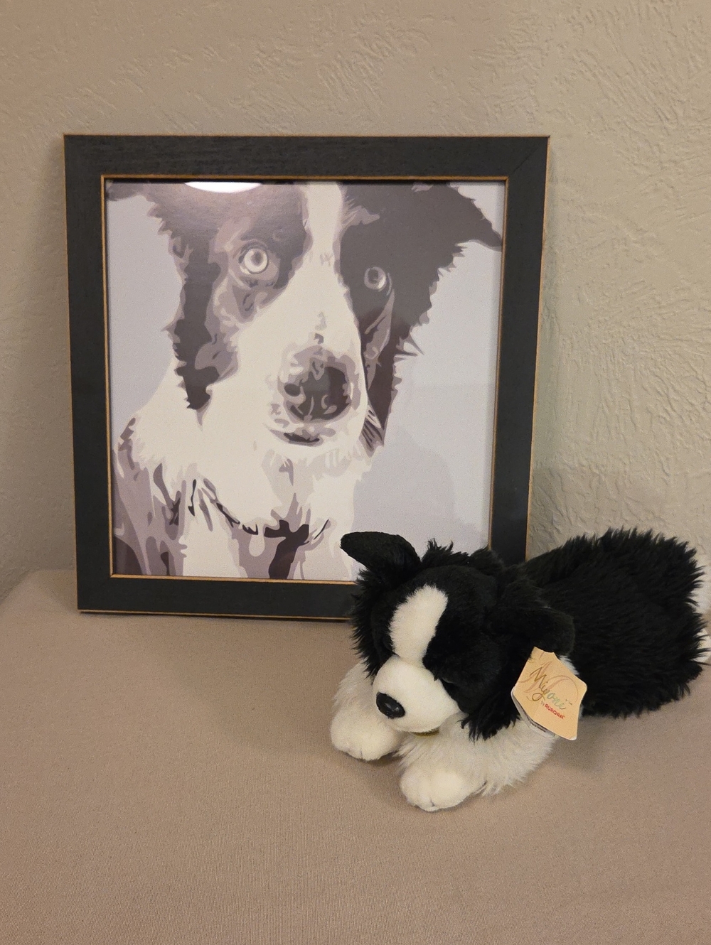 BORDER COLLIE PORTRAIT AND PLUSH SET